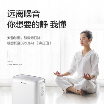 格力（GREE）【低噪小体积】除湿机/抽湿机家用除湿量12升/天单间参考面积24平24H定时除湿器DH12EN