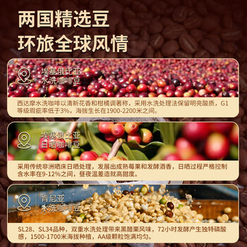 鹿家嘴LUJIAZUI IIAC铂金奖咖啡豆200g埃塞&肯尼亚意式拼配圣诞咖啡特饮