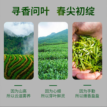 印象堂茶叶 明前碧螺春一级新茶绿茶高山礼品散装250g袋装自己喝 印象堂茶叶 明前碧螺春一级新茶绿茶高山礼品散装250g袋装自己喝