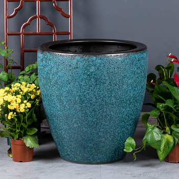 荷花缸金鱼品牌及商品- 京东