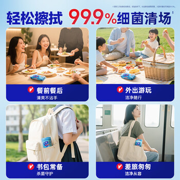 维达（Vinda）杀菌湿巾【开学/出行必备】10片*10包 湿巾小包独立便携装 湿纸巾