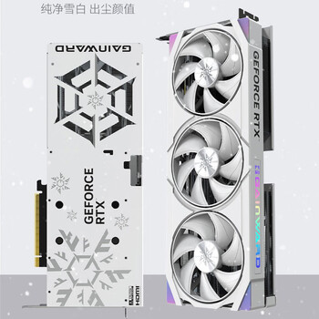 耕升GeForce RTX 5070 Ti 踏雪 OC 2.0 16G游戏显卡 DLSS 4 电竞游戏/设计剪辑/AI本地部署/直播娱乐