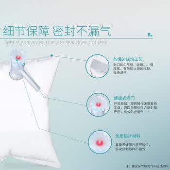 比克曼生物（BKMAM）特氟龙采气袋氟膜采样袋VOCs非总烃气袋聚四氟乙烯气体取样袋 1L单阀 聚四氟阀门