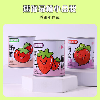 Touch Fish小学生手工DIY小盆栽材料罐装易拉罐头桌面植物科学实验奖品 心想柿成（西红柿）