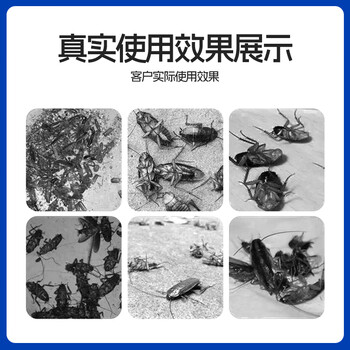 绿叶蟑螂药杀蟑胶饵杀蛮蠊除蟑螂杀虫剂20克装4014 绿叶蟑螂药杀蟑胶饵杀蛮蠊除蟑螂杀虫剂20克装4014