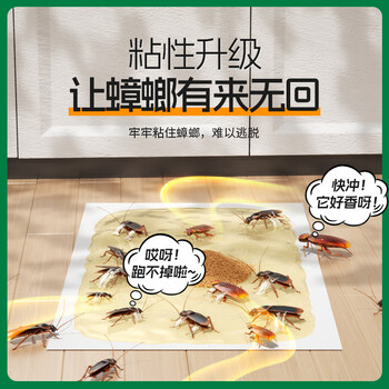 绿叶蟑螂粘板杀蟑螂杀蛮蠊家用蟑螂捕捉器带诱饵20片/盒19V1