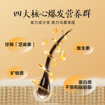 五谷磨房核桃芝麻黑豆粉546g*1罐 五黑食材 低GI食品 营养全面 核心黑食材