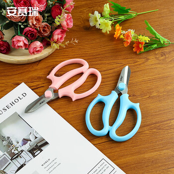 安赛瑞 不锈钢鲜花修剪刀 家用绿植盆栽修枝园艺工具 蓝色 5J00478 JC