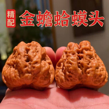 文玩核桃之——金蟾蛤蟆头- 知乎