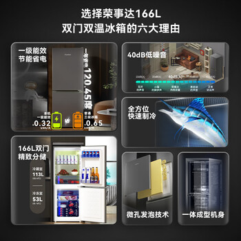 荣事达（Royalstar）166升小冰箱小型家用出租房办公室宿舍双开门两门双门二门电冰箱节能省电低音钛深灰色R166