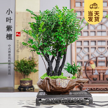 拍子木　紫檀　８寸　(24cm) O1CN01CeBM1R1nfdcSz5oPT_!!