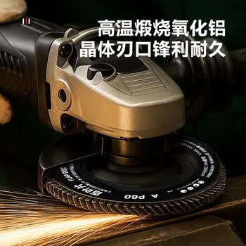 得力（deli）角磨机百叶片百叶轮打磨片瓷砖打磨片磨光片金刚石磨片80网盖10片