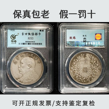中华民国十八年壹圆仿古铜镀银币大洋钱币银园银元39.9mm