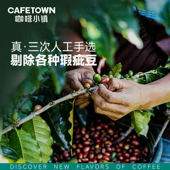 咖啡小镇印尼黄金缕曼特宁 手冲咖啡豆G1精品单品中度烘焙 227g