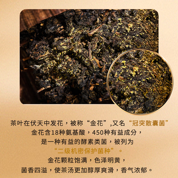 盛安长【买1送1】特级泾阳茯茶黑茶陕西西安特产送礼礼物茶叶礼盒 400g
