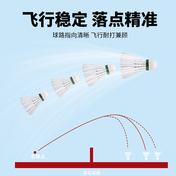 薰风（KUMPOO）日常娱乐训练用球熏风鹅毛羽毛球  红薰66一筒12个装(77速)