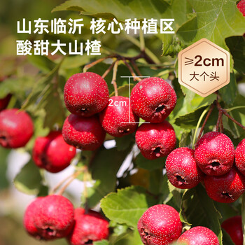 京东京造鲜来多山楂干100g去核无籽山楂片山楂圈花果茶养生茶茶包酸梅汤料