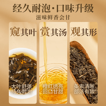 盛安长泾阳茯茶传承1368黑茶金花茯砖茶叶陕西特产  2021年糯香味200g