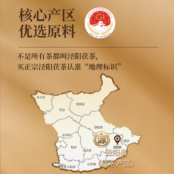 盛安长泾阳茯茶传承1368黑茶金花茯砖茶陕西西安特产茶叶礼盒 糯香900g