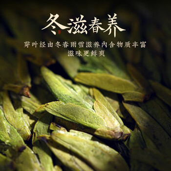 山水西湖龙井绿茶豆香型特级250g2026新茶明前春茶叶礼盒高端午父亲节送礼
