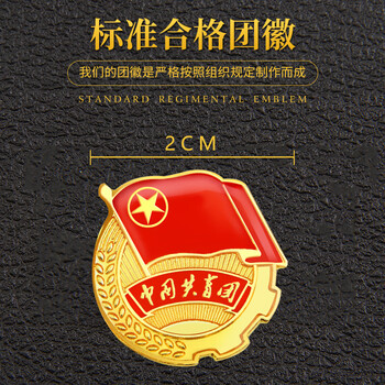 格立特（gelite）2025最新版标准款1.5mm加厚正版2cm中国共青团团徽磁吸团员徽章别针款双面强磁大磁铁扣学生用胸章