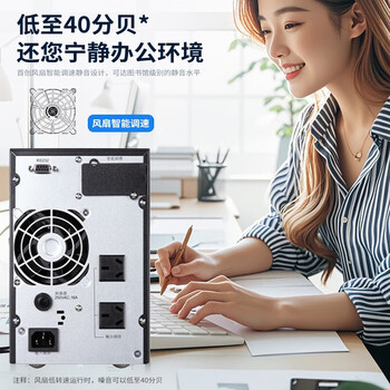 山特（SANTAK）C1K 在线式UPS不间断电源1000VA/1000W 稳压服务器机房电脑内置电池标准机