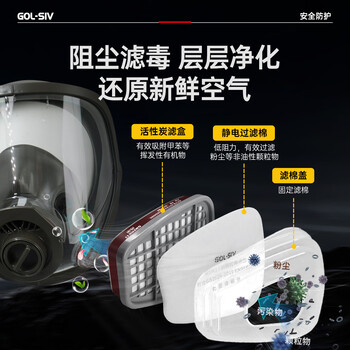 胜丽 GOL-SIV® 防毒面具全面罩 防有机气体蒸汽/苯/汽油 喷漆化工厂煤矿 M6800+M6001 胜丽 GOL-SIV® 防毒面具全面罩 防有机气体蒸汽/苯/汽油 喷漆化工厂煤矿 M6800+M6001