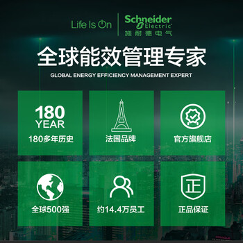 APC&施耐德CFR铅酸蓄电池M2AL12-38CFR