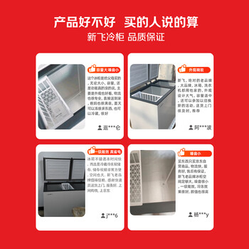 新飞(Frestec)220升家用商用冰柜 双箱双温冷柜 顶开门 冷藏冷冻卧式冰箱BCD-220DHF 新飞(Frestec)220升家用商用冰柜 双箱双温冷柜 顶开门 冷藏冷冻卧式冰箱BCD-220DHF
