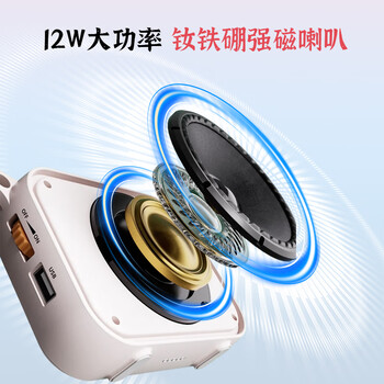 得胜（TAKSTAR）E30W 无线小蜜蜂扩音器教师专用导游喇叭腰挂便携式国风蓝牙小音箱喊话器无线讲课麦克风 柔月白
