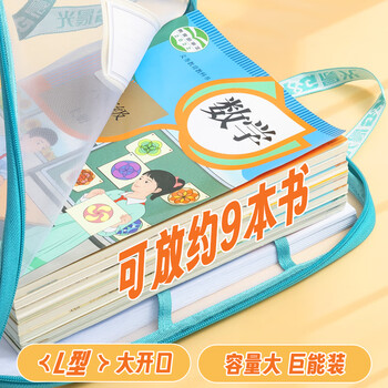 晨光（M&G）文具L型网纱拉链袋套装 科目分类袋文件袋小学生加厚学科袋大容量大开口 语数英综ADM945AY-A
