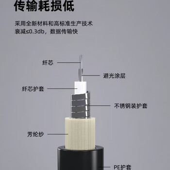 普联光迅 电信级室外野战光缆单模尾缆 户外基站拉远防鼠咬铠装光纤跳线成品光钎线 单模双芯 FC-FC 35米