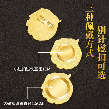 易利丰（elifo）2025最新版标准款1.5mm加厚正版2cm中国共青团团徽磁吸团员徽章别针款双面强磁大磁铁扣学生用胸章