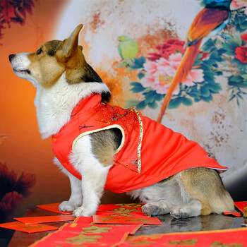 我可爱的小狮子 狗狗衣服无袖棉衣 龙袍舞狮装 柯基法斗 一剪梅红色