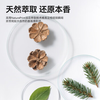 京东京造柔顺香氛洗衣凝珠34颗 浓缩洗衣液 除菌除螨持久留香珠 东方松柏
