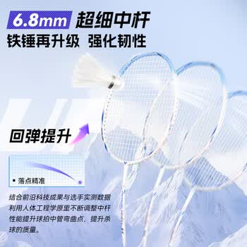 威克多（VICTOR）胜利羽毛球拍小铁锤全碳素专业单拍TK-HMRL A云峰白5U穿线送手胶