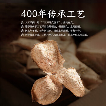 陈李济茗茶广府致味新会老陈皮十年足年陈化40g盒装礼品送礼礼盒