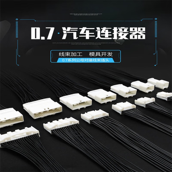 正鑫远 汽车连接器线束插头公母对插12孔公母全套带线30cm0.5平方