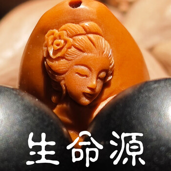 生命之源橄榄核品牌及商品- 京东