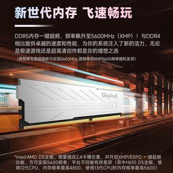 金百达（KINGBANK）32GB(16GBX2)套装 DDR5 5600 台式机内存条 银爵