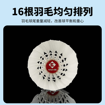 薰风（KUMPOO）日常娱乐训练用球熏风鹅毛羽毛球  红薰66一筒12个装(77速)