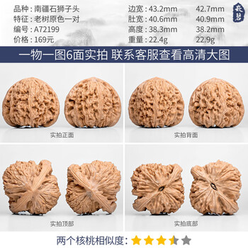 南疆石老树品牌及商品- 京东