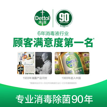 滴露【拖地瓷砖木板厨卫均可】地板清洁除菌液 清新柠檬750ml*2瓶 