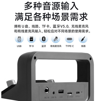 漫步者（EDIFIER）PP205无线版 手提便携蓝牙音箱 广场舞音响 户外K歌音箱 暮云灰