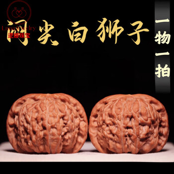 文玩堂：闷尖白獅子頭（46mm） 文玩堂：闷尖白獅子頭（46mm）1