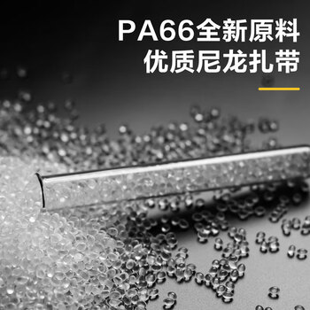 得力（deli）自锁式尼龙扎带阻燃理线带捆扎带束线扎线绑 白色100根/包