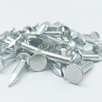 永利尚 沥青瓦钉大帽钢钉规格全钉子钢钉水泥钉房顶玻纤瓦油毡瓦专用钉 25mm（1斤/袋）