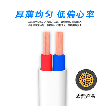 荣达国超电缆 铜芯100米RVV-2*1平方阻燃家装电源线国标2芯多股白护套软线 荣达国超电缆 铜芯100米RVV-2*1平方阻燃家装电源线国标2芯多股白护套软线