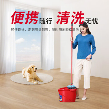 微力达(Vileda)拖把专用拧干桶适配无纺布蓝拖布白色棉布拖老式手压拧干器挤水桶 微力达(Vileda)拖把专用拧干桶适配无纺布蓝拖布白色棉布拖老式手压拧干器挤水桶