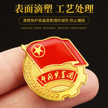 易利丰（elifo）2025最新版标准款1.5mm加厚正版2cm中国共青团团徽磁吸团员徽章别针款双面强磁大磁铁扣学生用胸章